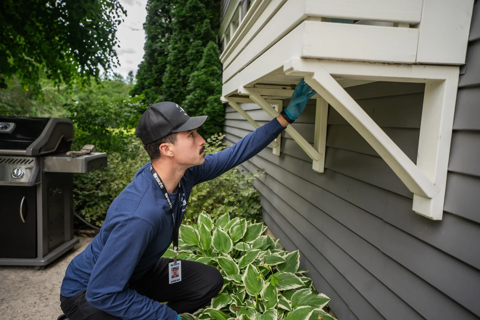 Pest Control Charlottetown, Prince Edward Island