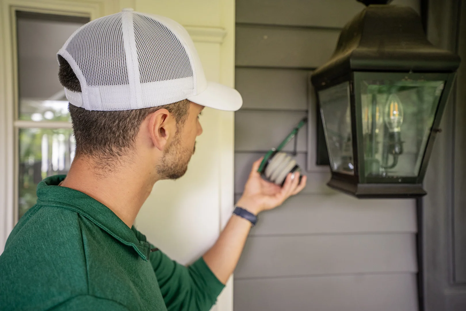 Wasp Control Services - Insight Pest Solutions