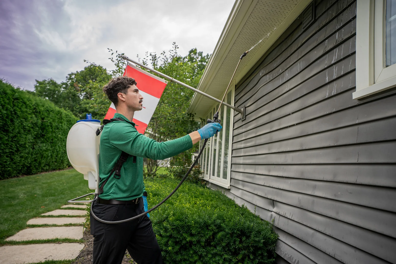 Pest Control Hamilton, Ontario | Insight Pest Canada