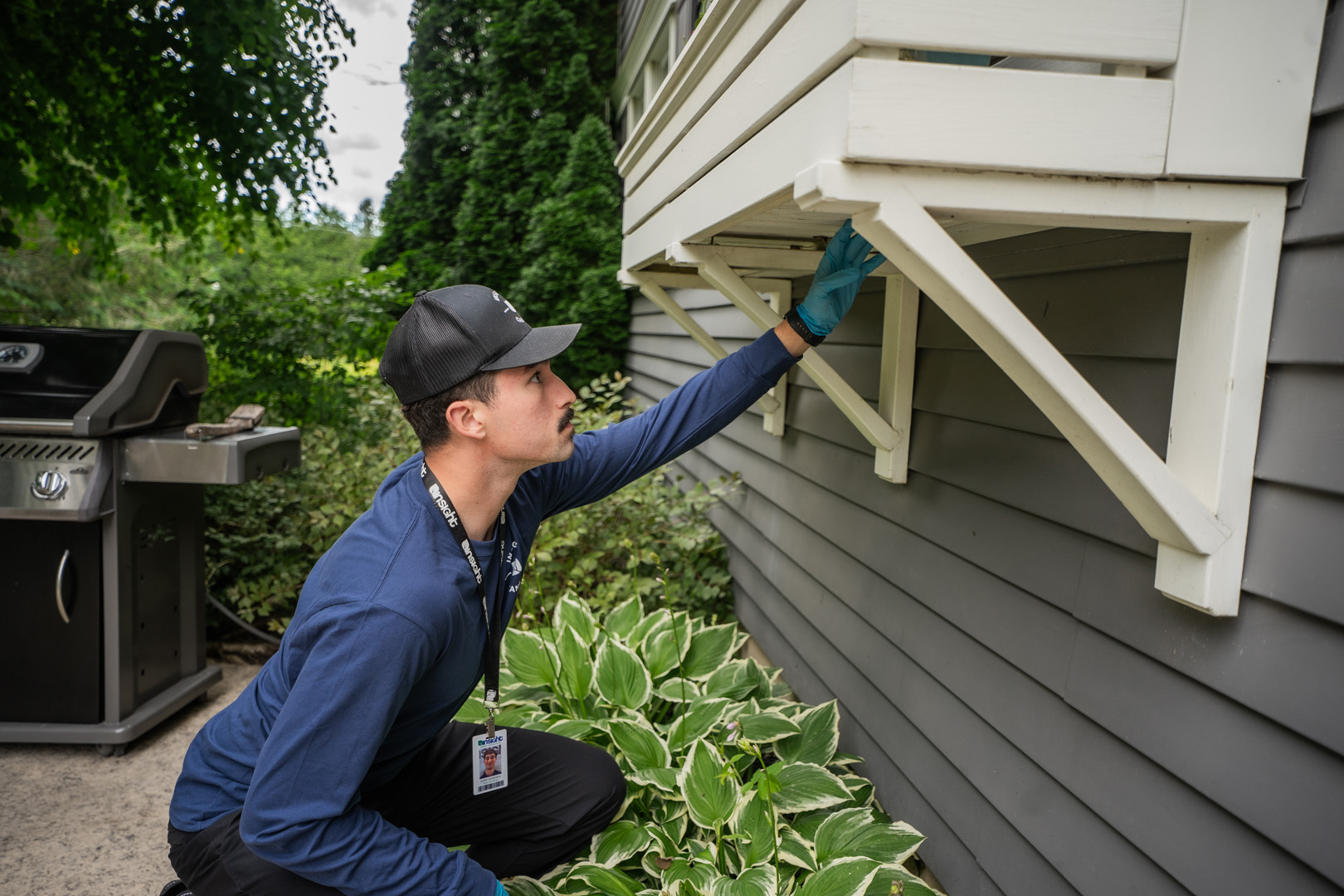 Kitchener Pest Control Services