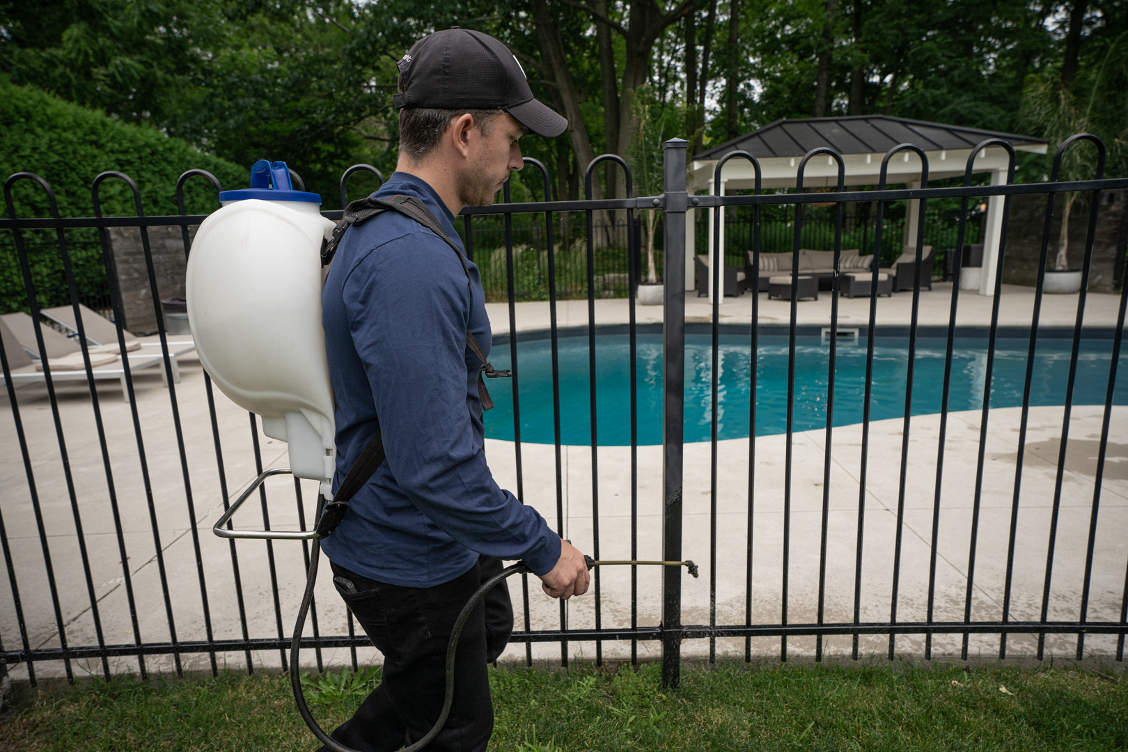 Mississauga Pest Control Services