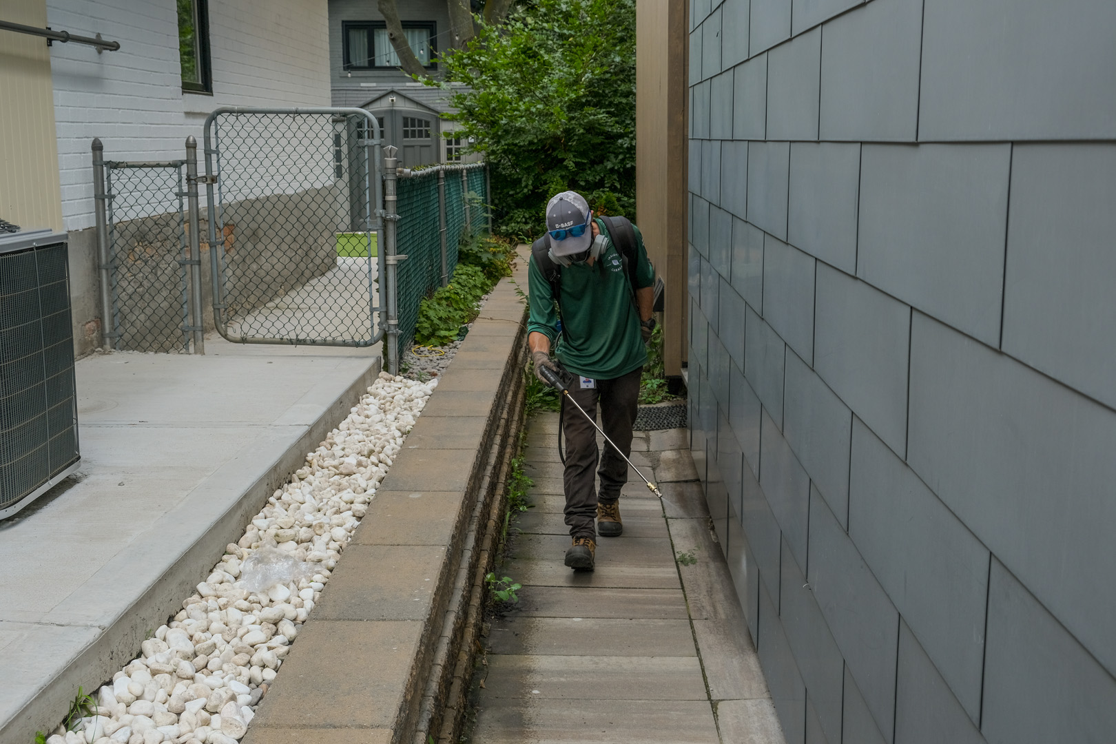 Montreal Pest Control Services
