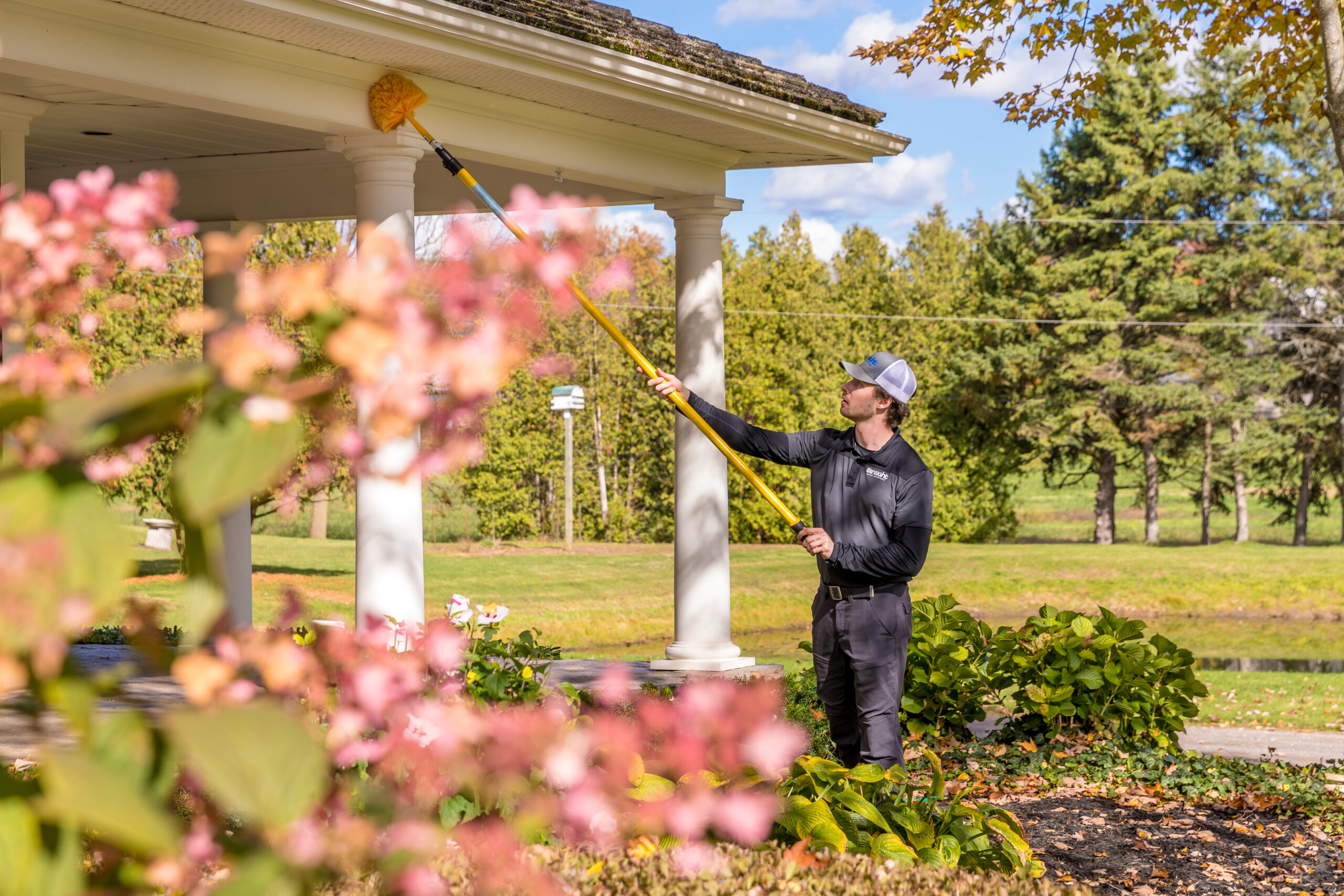 Professional Pest Control Services - Insight Pest Solutions