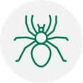 Spider Icon